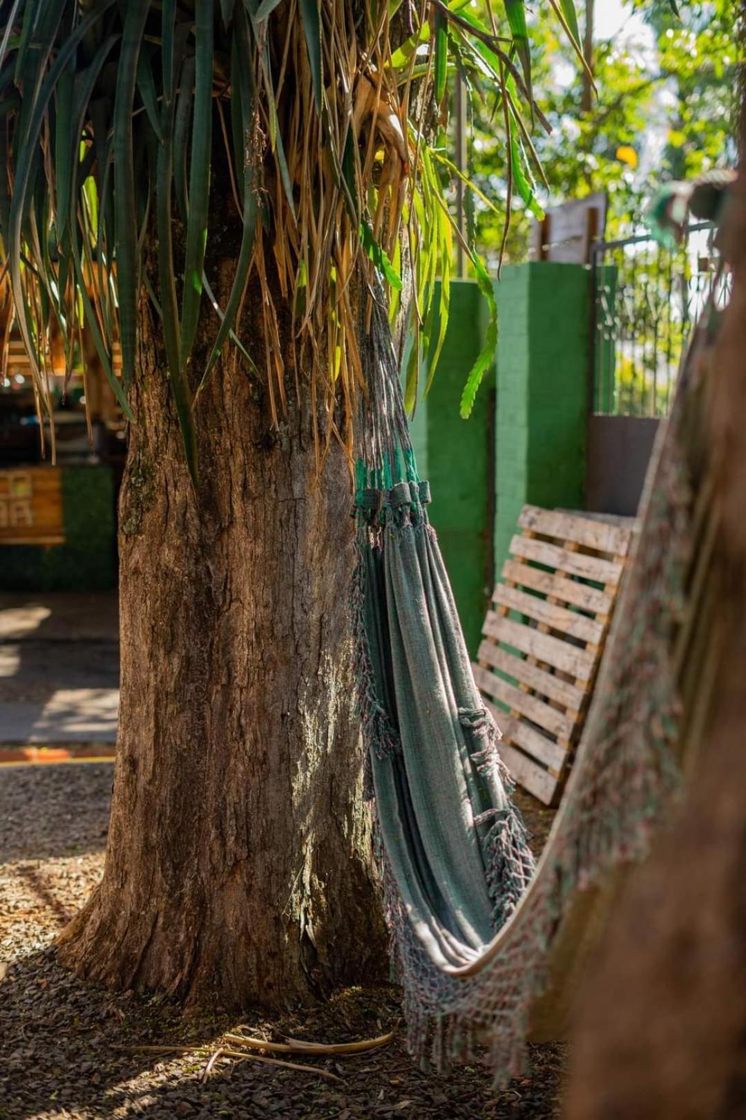 Benteveo Hostel Iguazu Puerto Iguazu Exterior photo